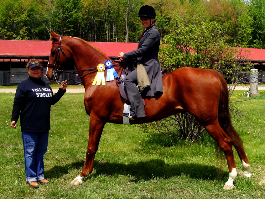 Kimber's newest ride